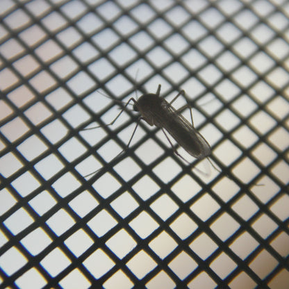 Magnetic Insect Screen